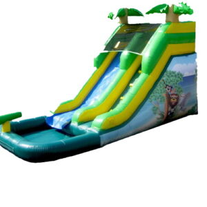Safari Slide